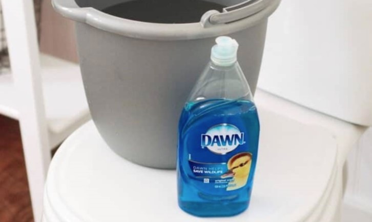 Как прочистить унитаз без вантуза